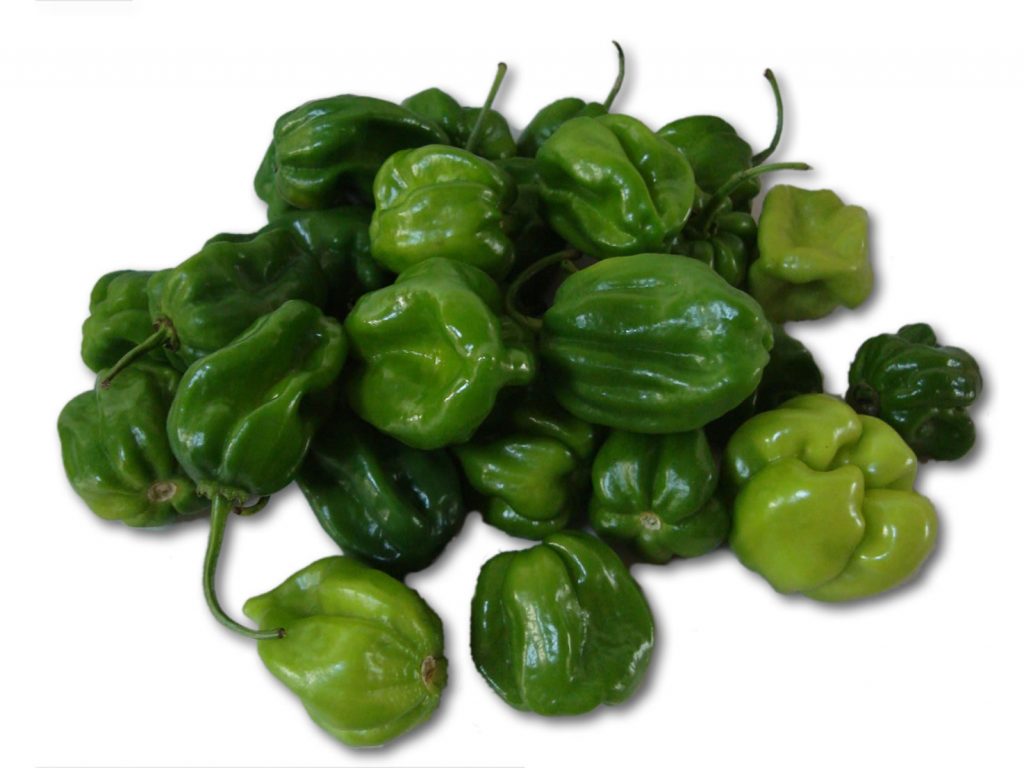 41green_jamaican_pepper ADEXVO