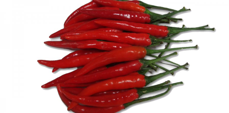 Ajies Picantes Largos Rojos