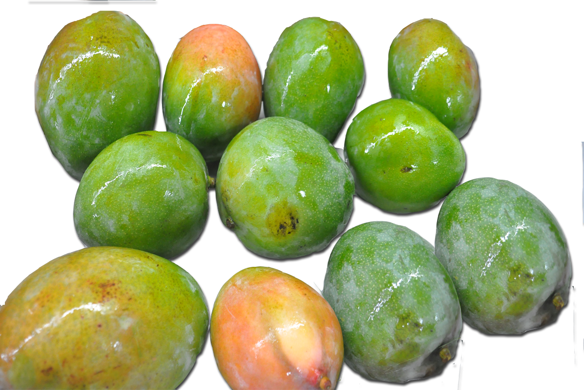 Mangos verdes Kent ADEXVO