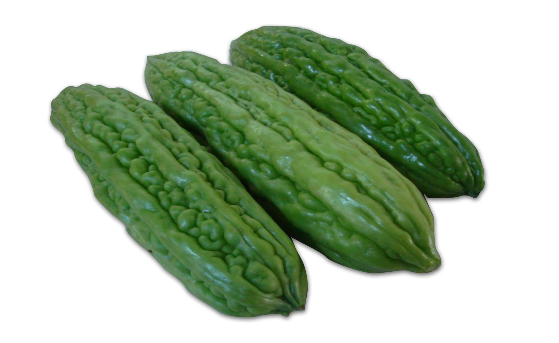 cundeamor chino ADEXVO