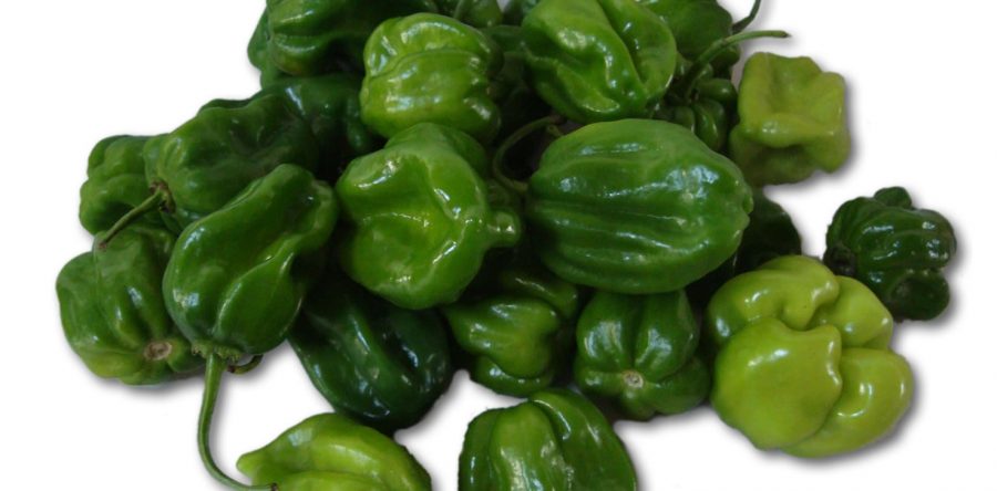 Ajies Habanero o Jamaiquino Verde