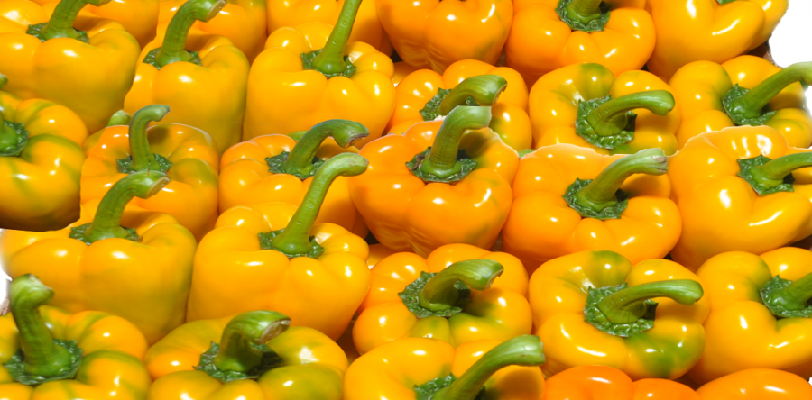 Ajies Morron Amarillo