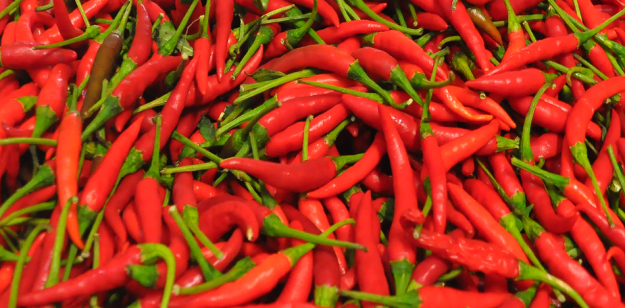 Ajies Picantes Cortos Rojo