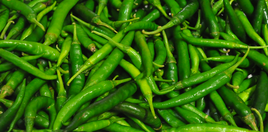 Ajies Picantes Cortos Verdes