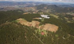 Tribunal conocerá el viernes solicitud que busca impedir desalojo en Valle Nuevo